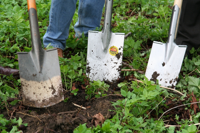 pepiniere-SOLLIES PONT-min_work-lawn-flower-tool-green-backyard-1103633-pxhere.com